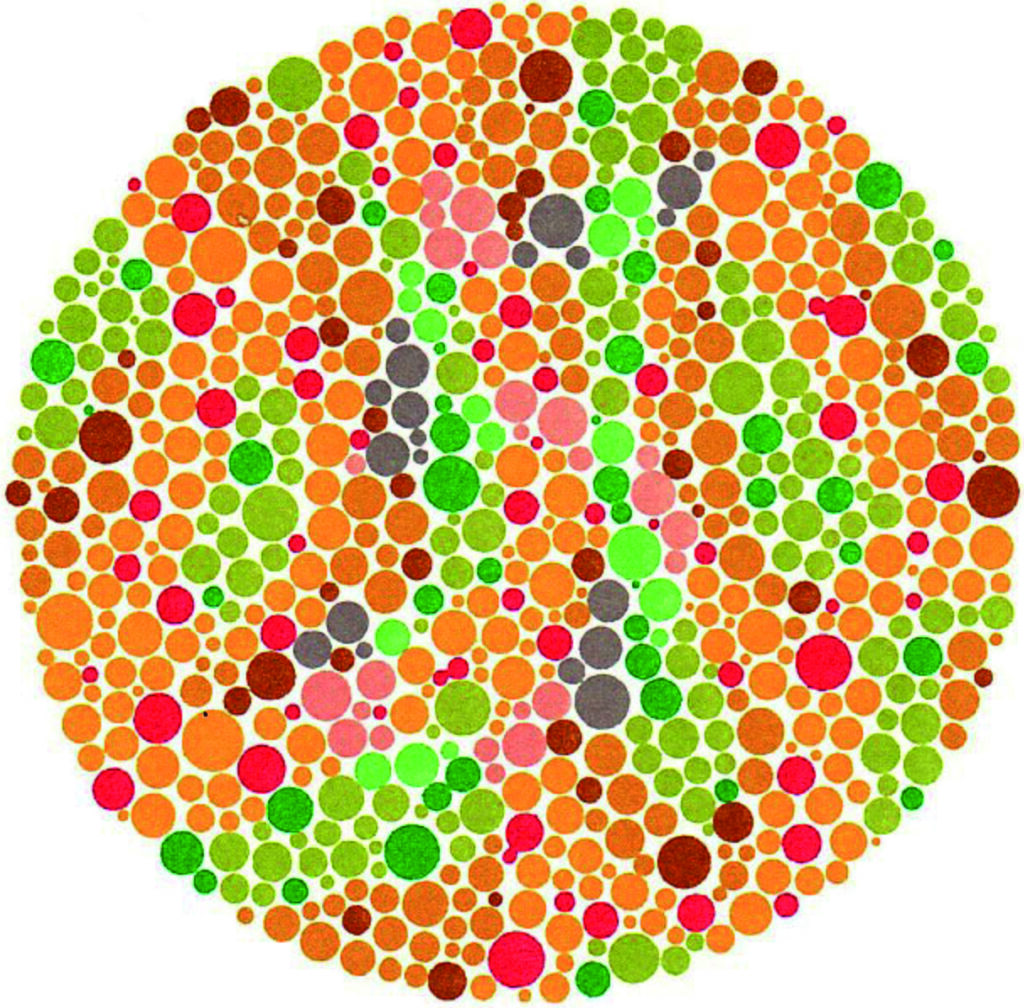 reverse ishihara 5