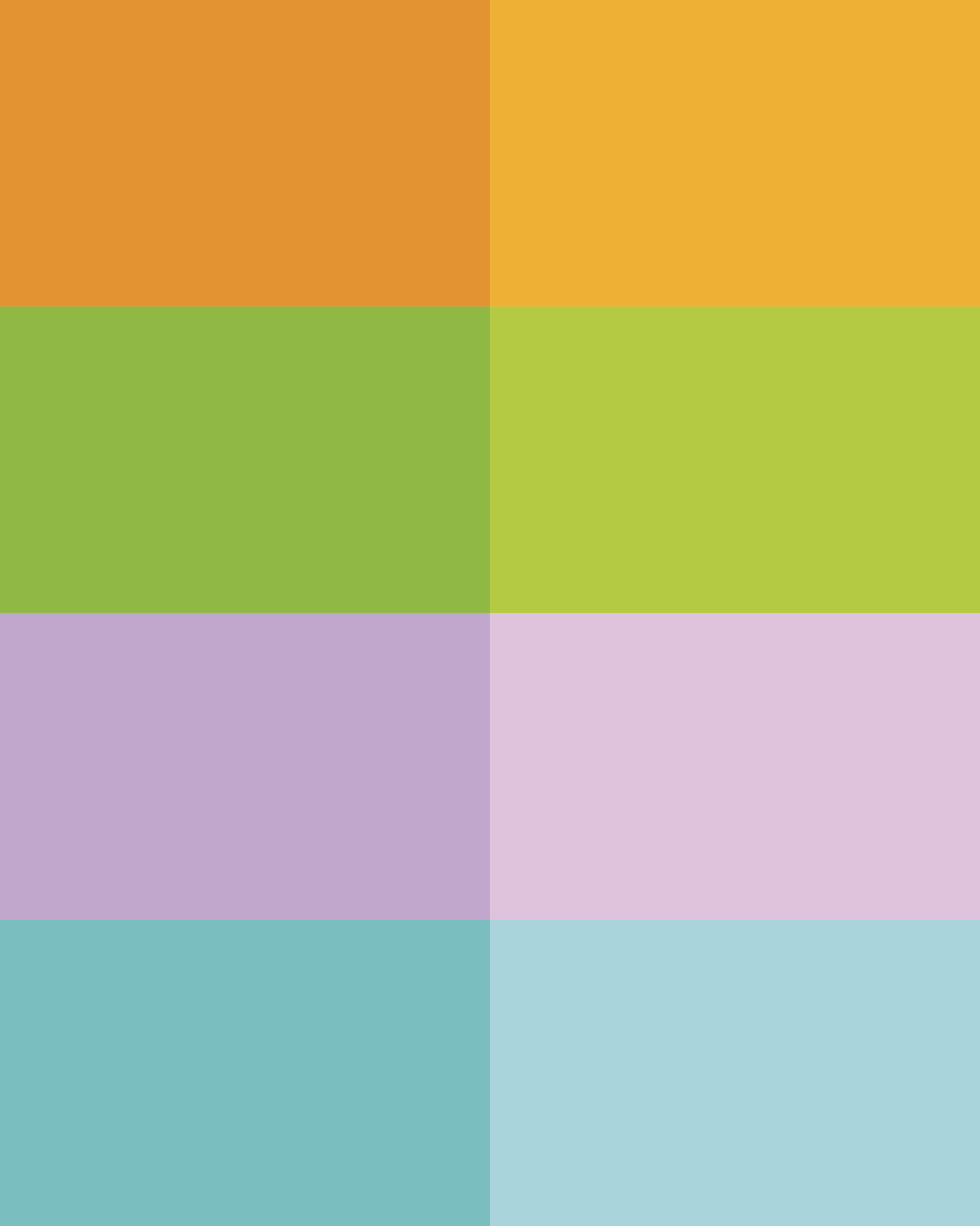 fair play color palette