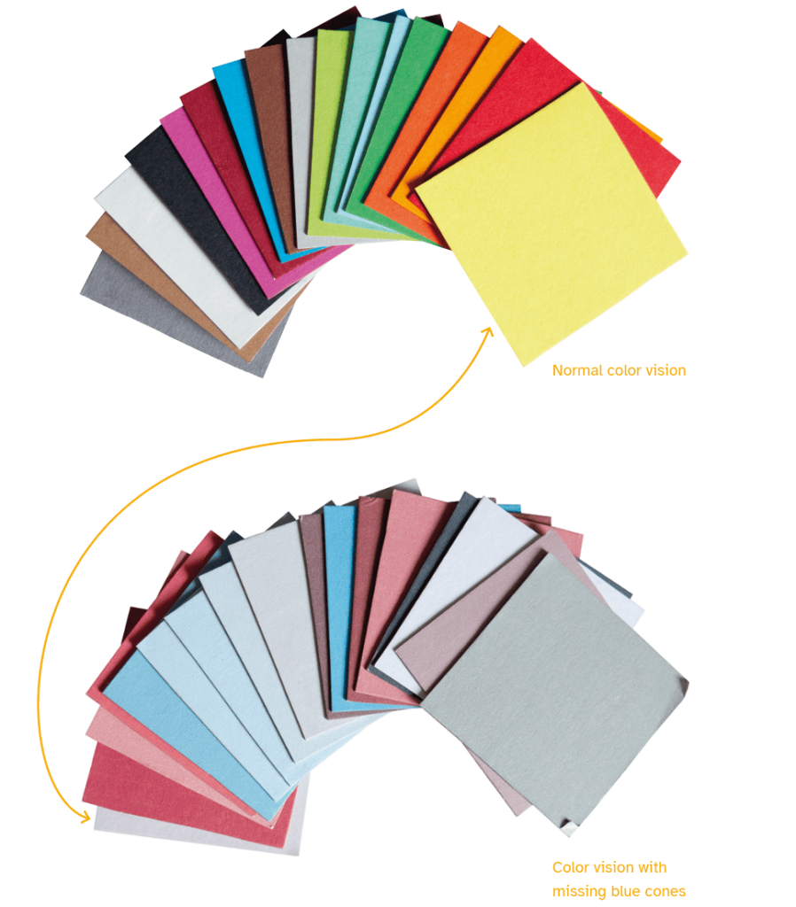 fair play prototypev2