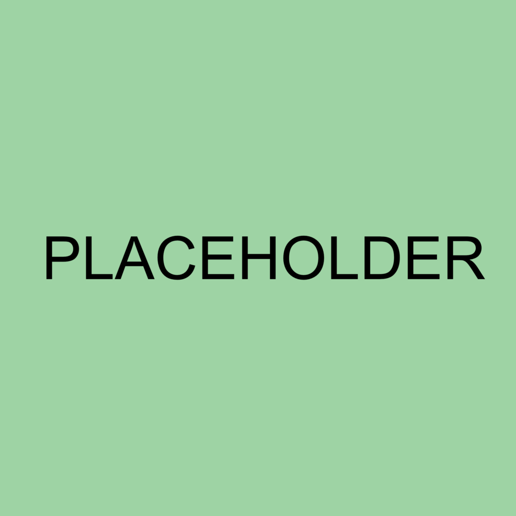 placeholder website