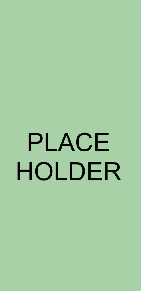 placeholder website 2