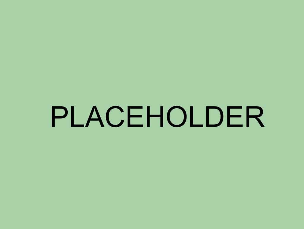 placeholder website 3